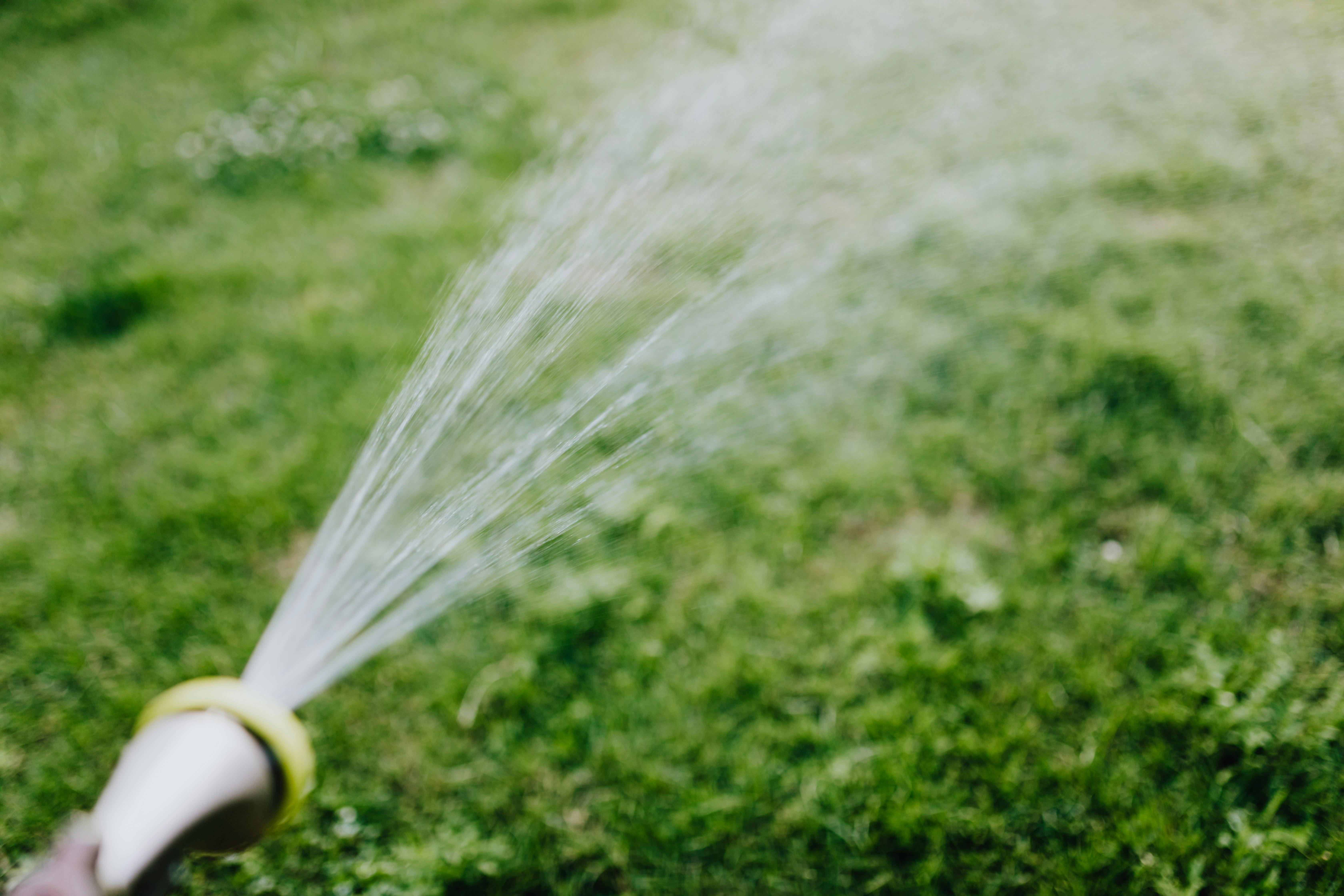 Person watering a backyard vegetable garden with a hose wand