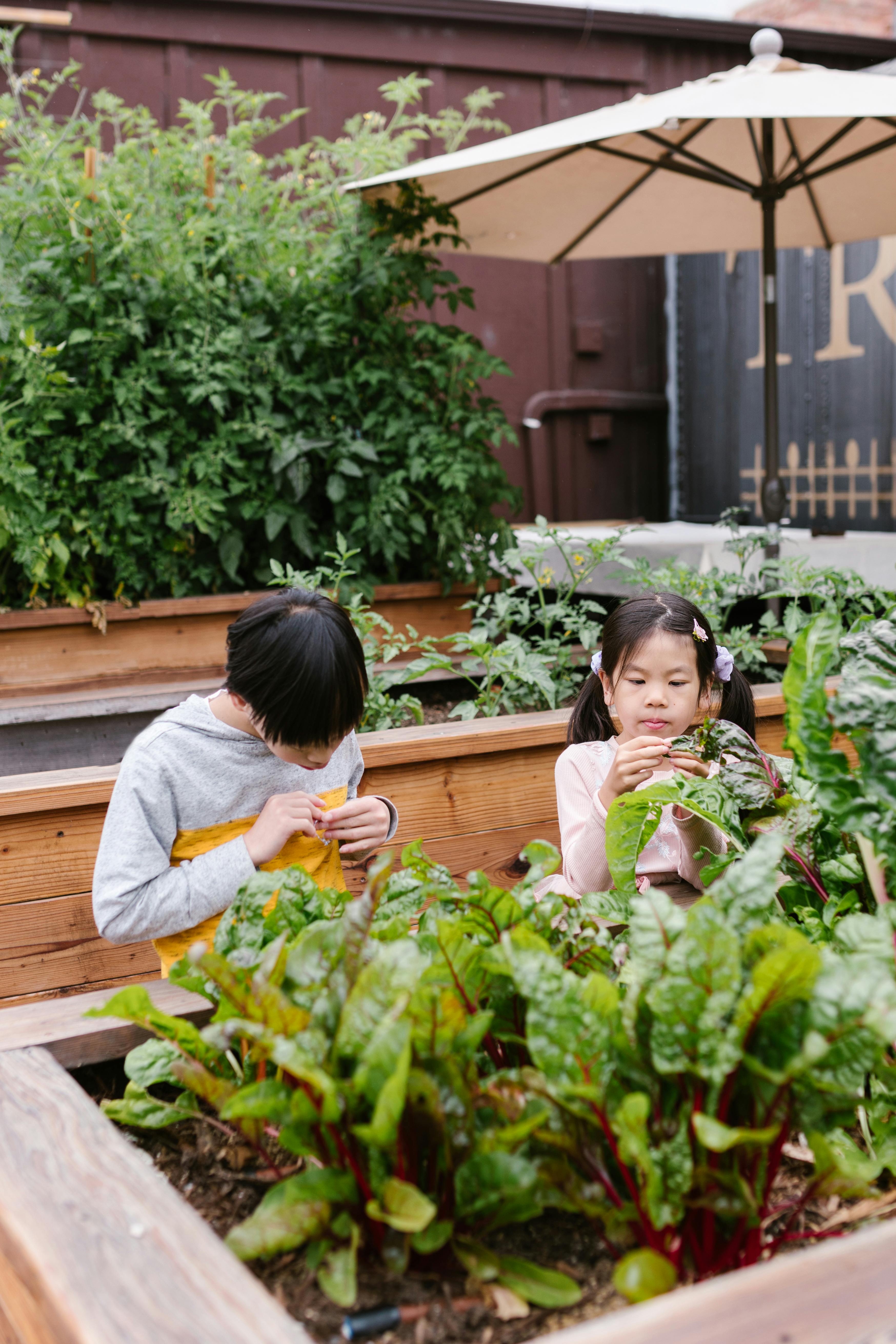 Two kids looking at plants growing in containers