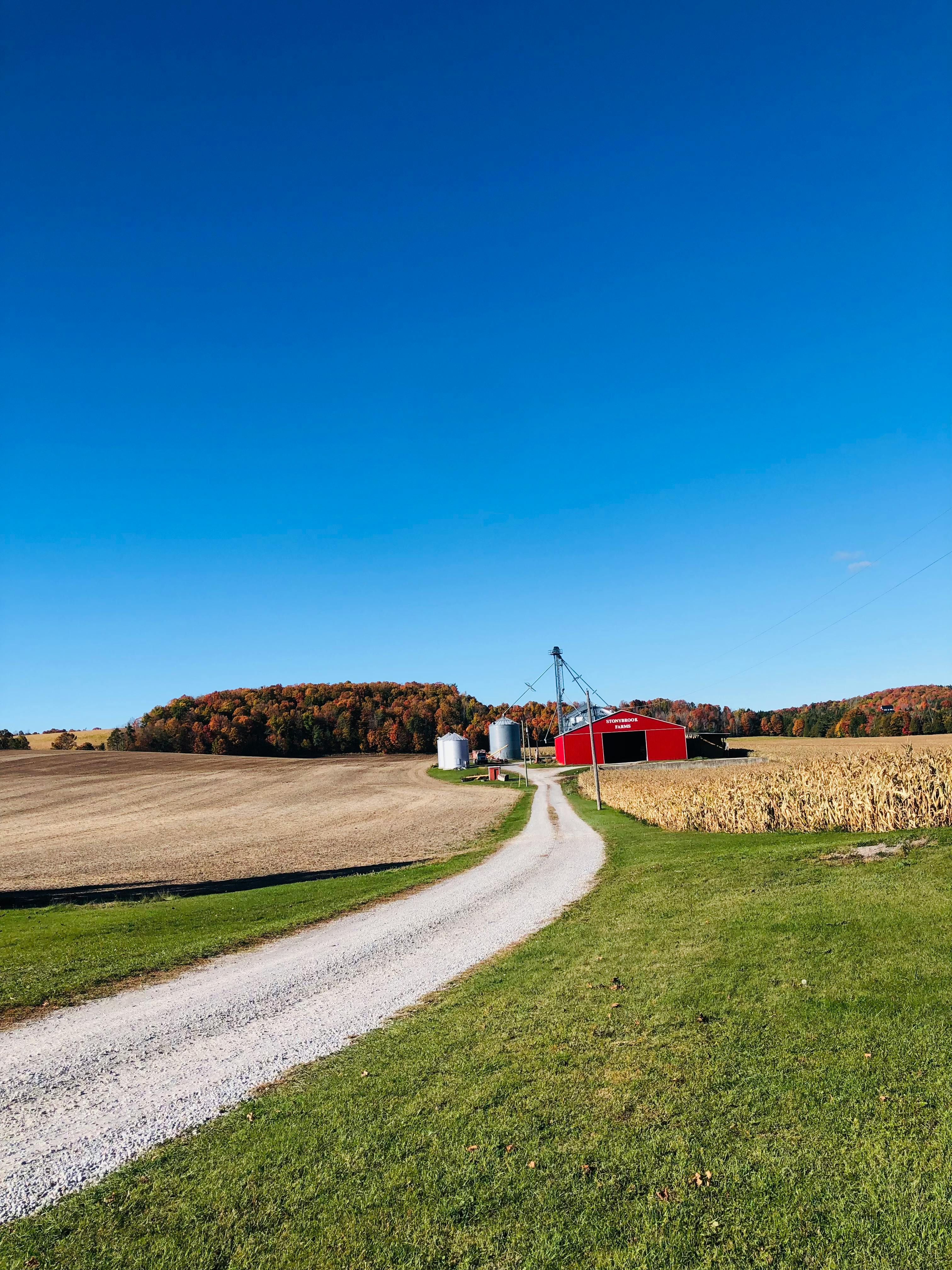 Community garden with farm buildings in the background
